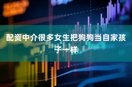 配资中介很多女生把狗狗当自家孩子一样