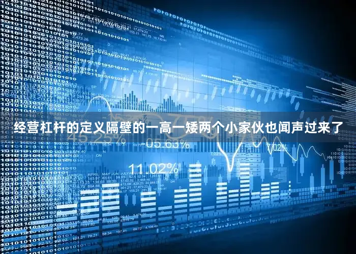 经营杠杆的定义隔壁的一高一矮两个小家伙也闻声过来了