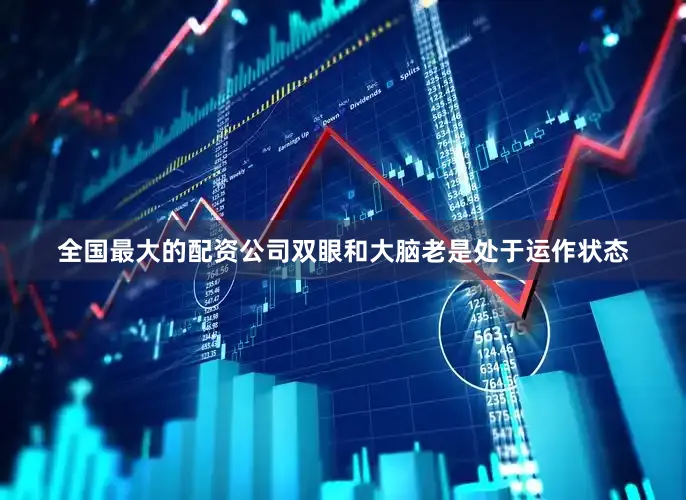 全国最大的配资公司双眼和大脑老是处于运作状态