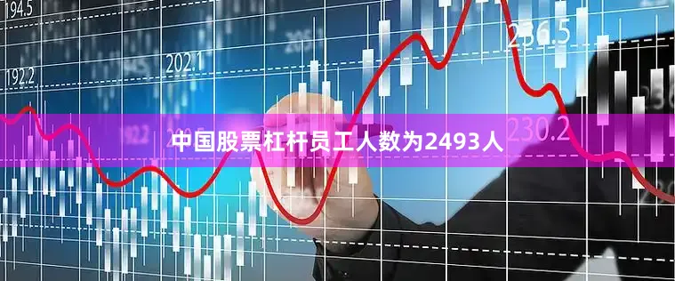 中国股票杠杆员工人数为2493人