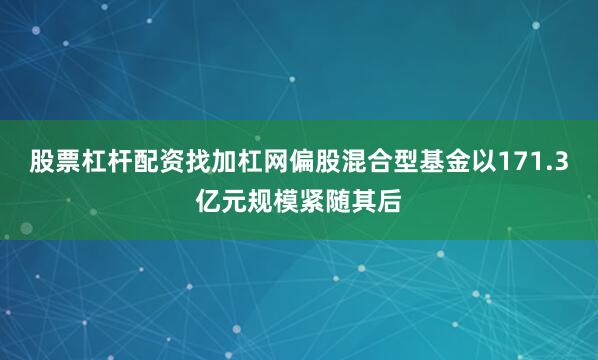 股票杠杆配资找加杠网偏股混合型基金以171.3亿元规模紧随其后