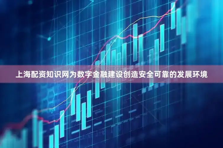 上海配资知识网为数字金融建设创造安全可靠的发展环境