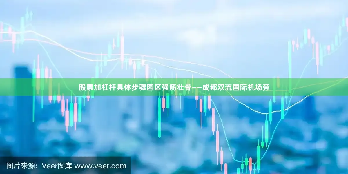 股票加杠杆具体步骤园区强筋壮骨——　　成都双流国际机场旁