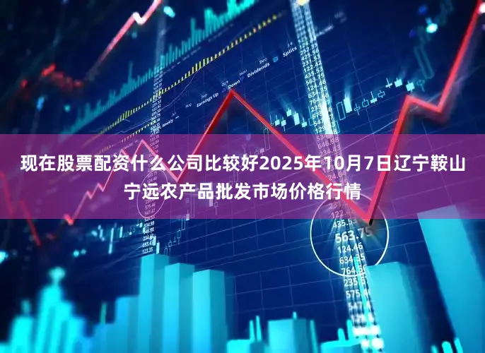 现在股票配资什么公司比较好2025年10月7日辽宁鞍山宁远农产品批发市场价格行情