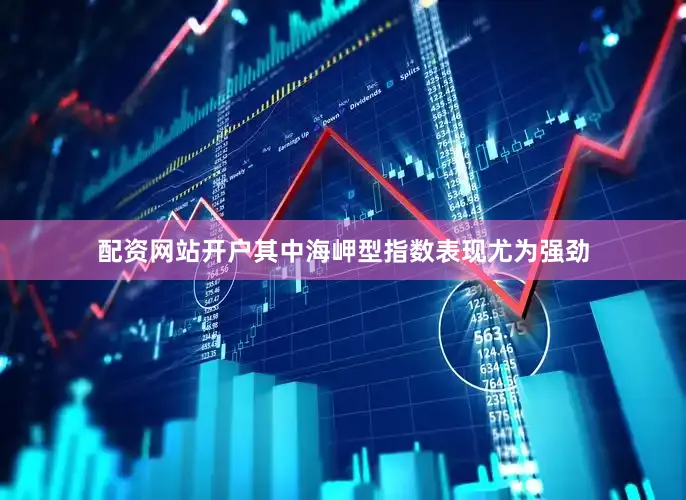 配资网站开户　　其中海岬型指数表现尤为强劲